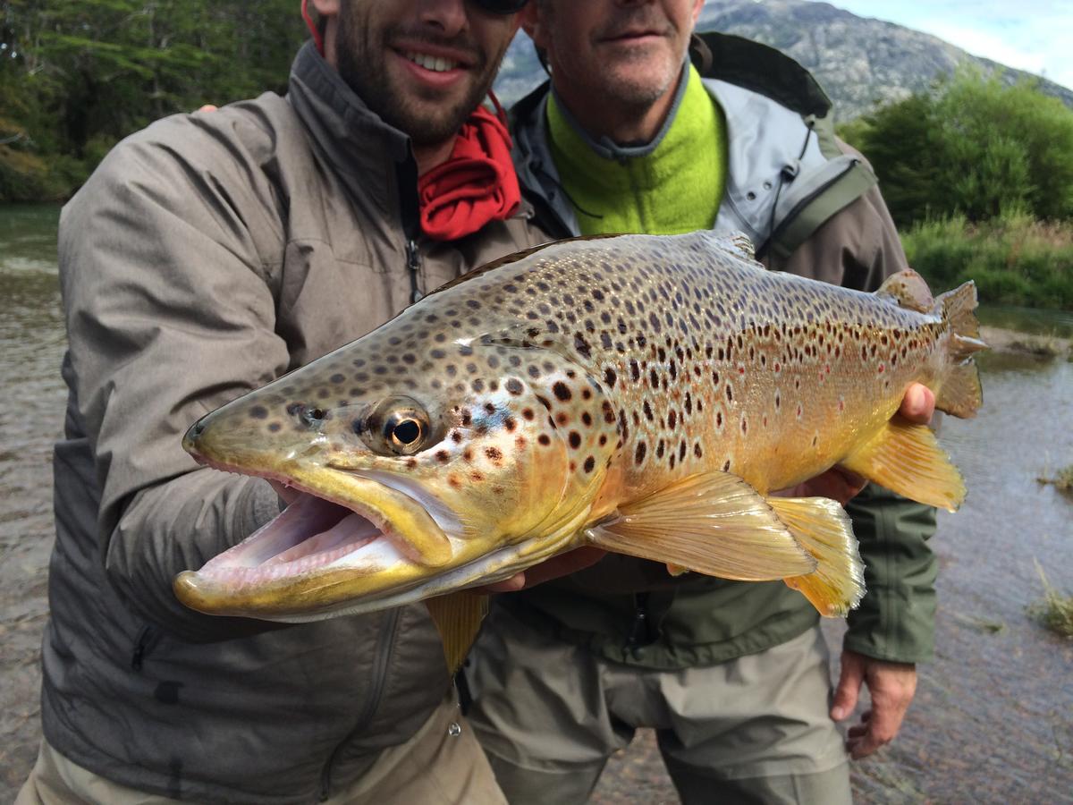 Vista Patagonia Lodge Coyhaique Zewnętrze zdjęcie